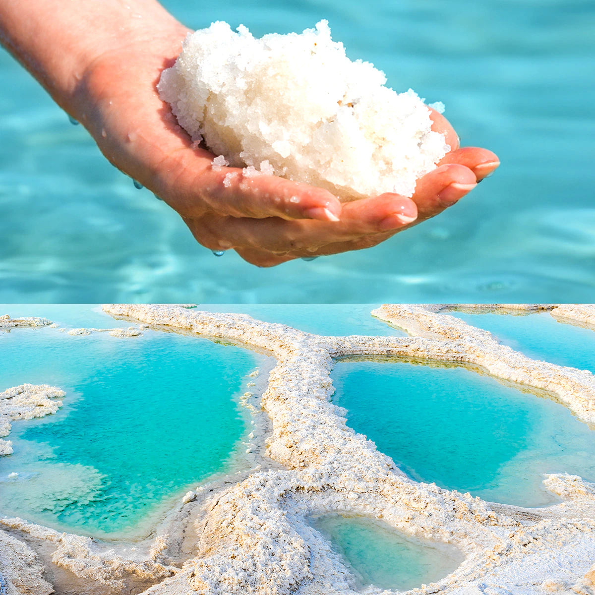 LUCAS 全身泡ソープ 【天然由来成分100% 石油系界面活性剤・防腐剤等不使用】