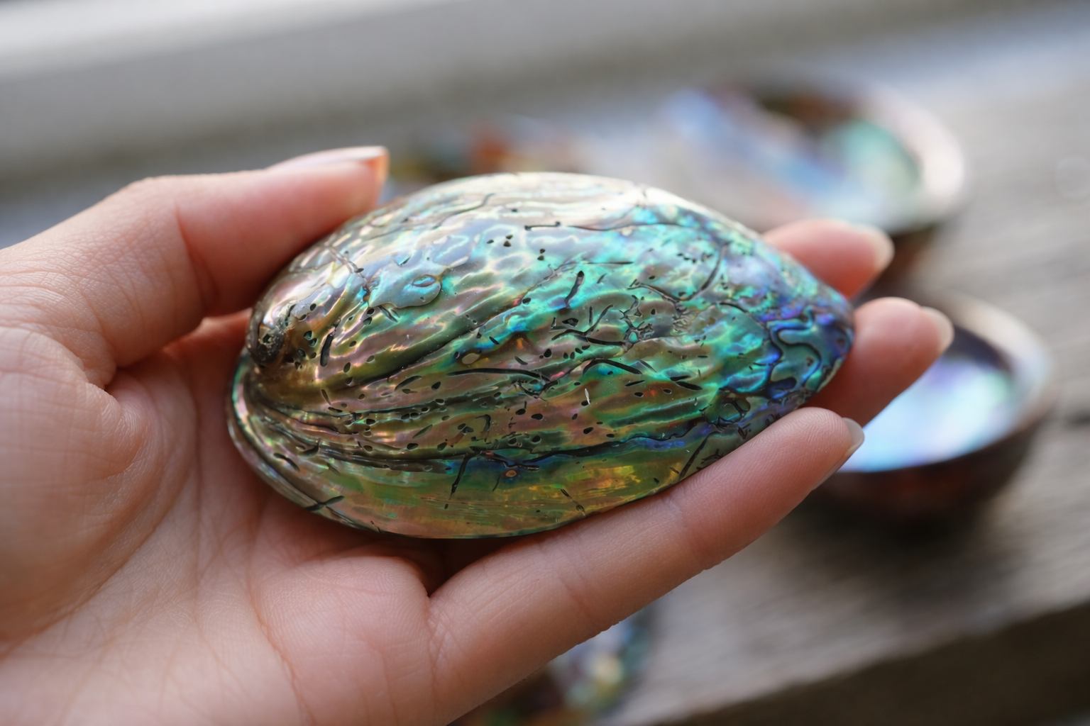 アバロンシェル | 浄化用スマッジングボウル