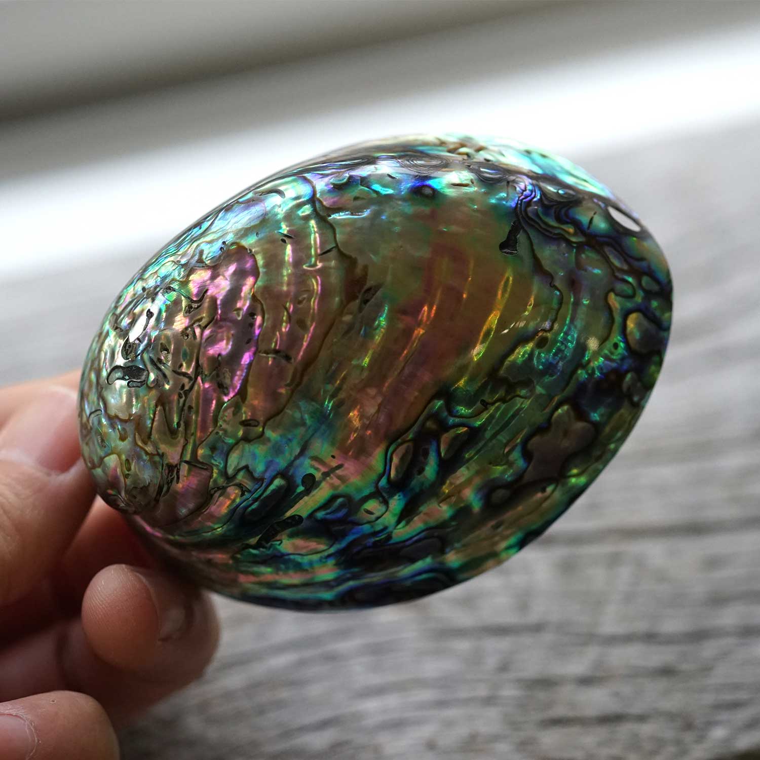 アバロンシェル | 浄化用スマッジングボウル