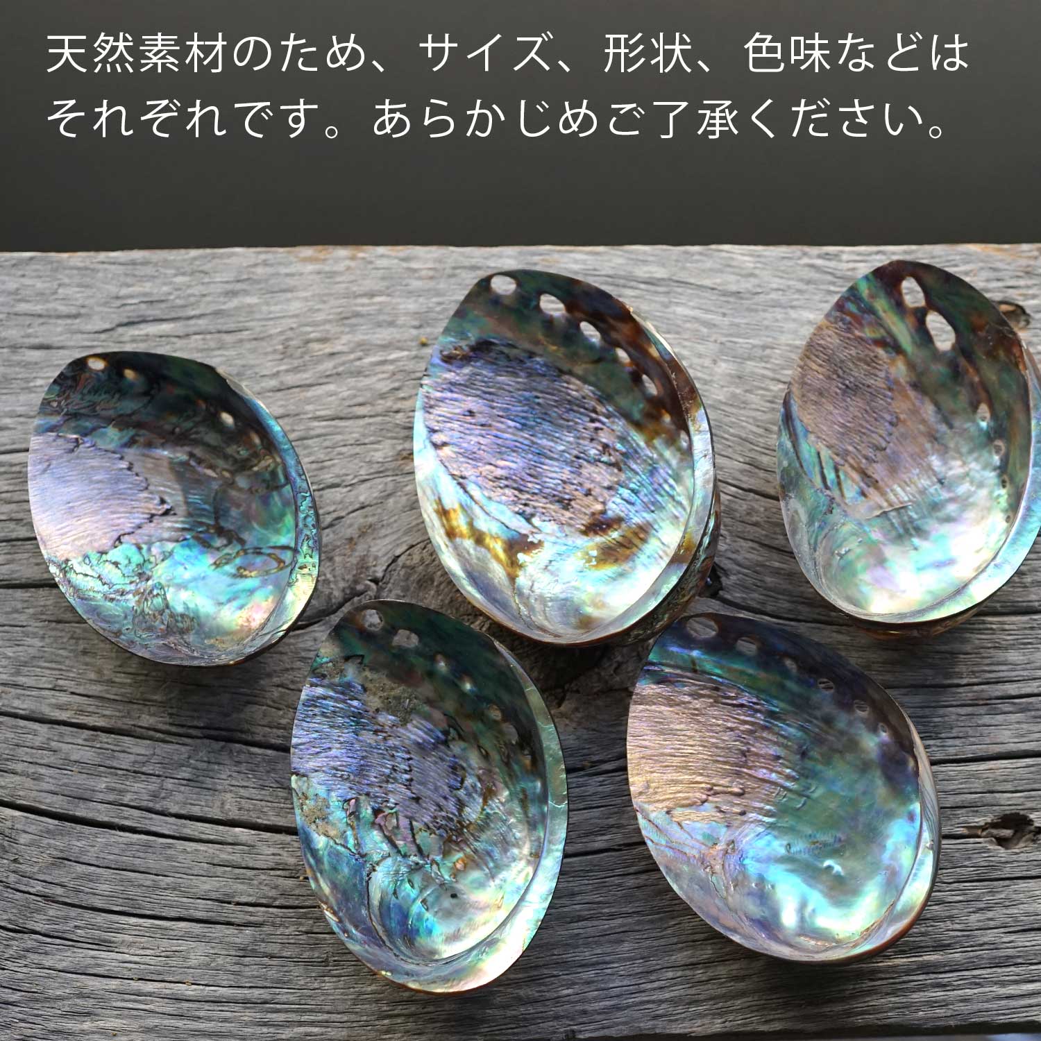 アバロンシェル | 浄化用スマッジングボウル