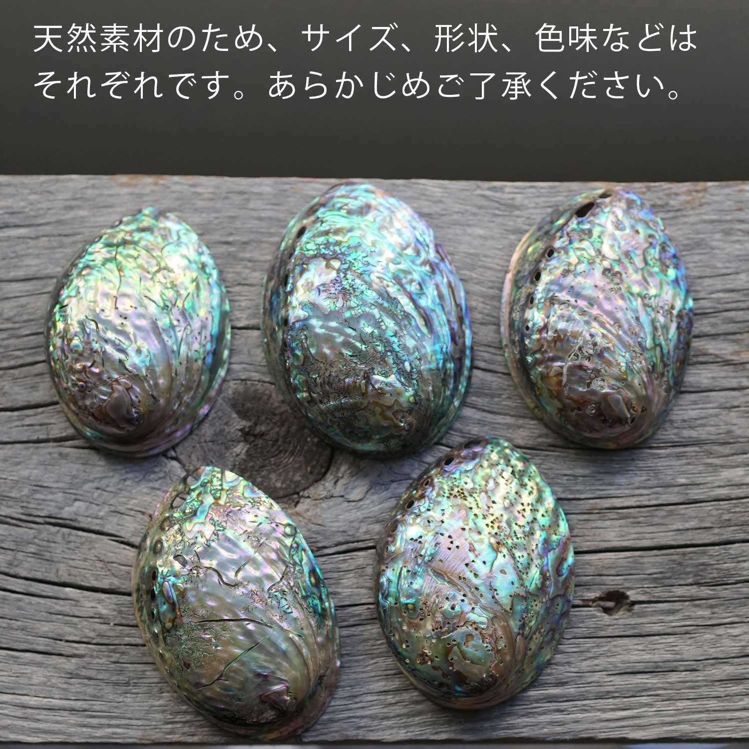 アバロンシェル | 浄化用スマッジングボウル