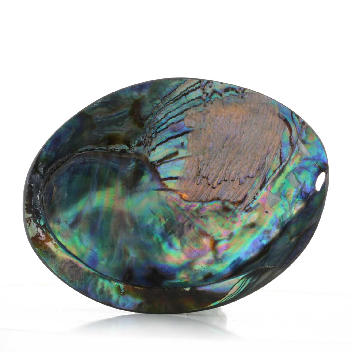 アバロンシェル | 浄化用スマッジングボウル