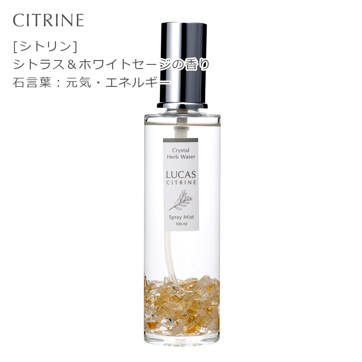 ホワイトセージ 浄化スプレー ルカス 【100ml 】天然由来成分100%