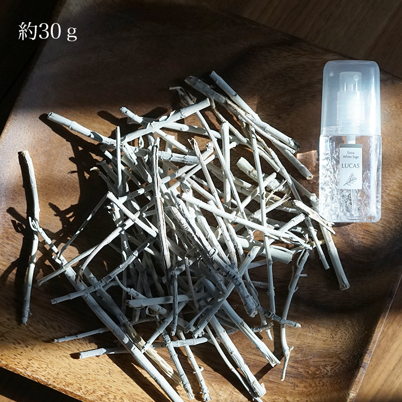 ホワイトセージ スティック（枝） 30g【カリフォルニア直輸入・オーガニック・ホワイトセージ協会認証】LUC